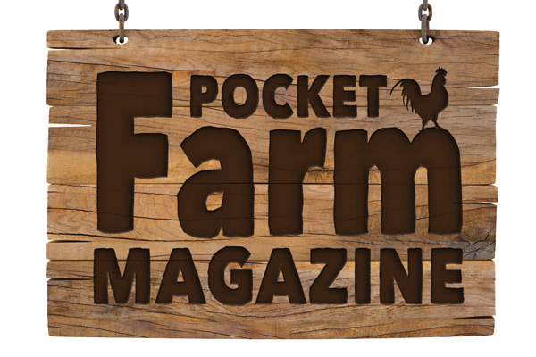 Happy New Year | Pocket Farm Magazine